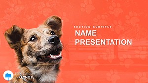 Complete Guide to Caring for Dogs Keynote template