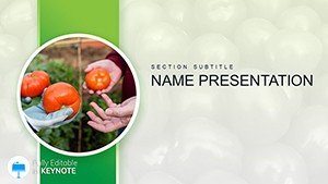 Growing Tomatoes Keynote template Presentation