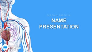 Cardiovascular System Keynote themes and template