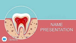 Tooth Structure Keynote template presentation