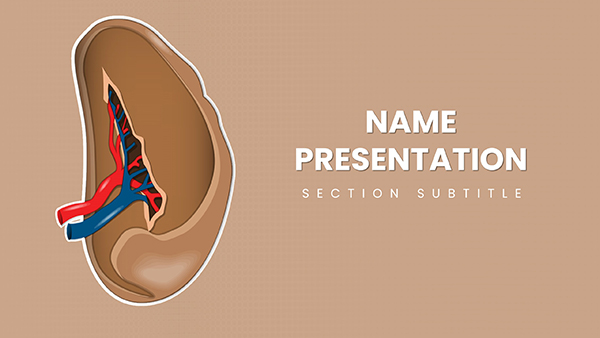 Spleen and Blood Cell Keynote template for presentation