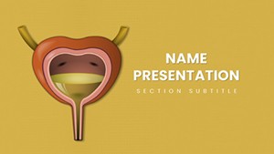Urinary System Keynote template for presentation