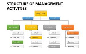 Project Organizational Structure PowerPoint Charts template