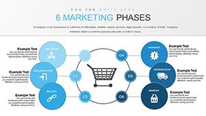 6 Marketing Phases PowerPoint Charts Template