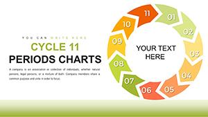 Cycle 11 Periods PowerPoint Charts Template Download | Presentation PPTX