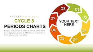 Cycle - 8 Periods PowerPoint Charts | Download Template