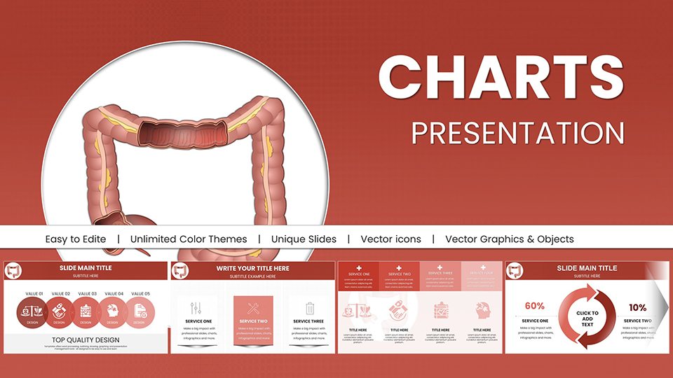 Large Intestine PowerPoint Charts - Download