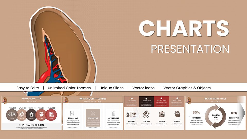 Professional Spleen & Blood Cell PowerPoint Templates for Medical Presentations