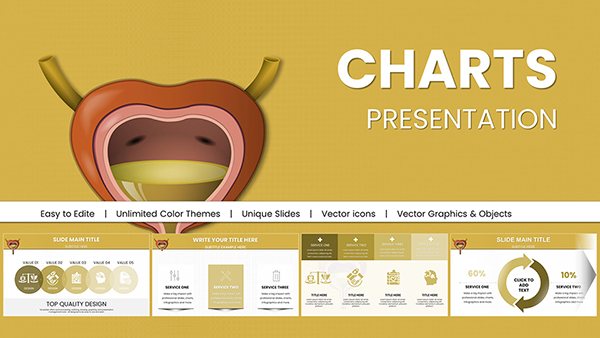 Urinary System PowerPoint Charts - Download Presentation