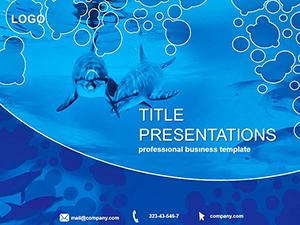 Friendly dolphins PowerPoint templates