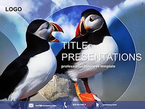 Atlantic Puffin PowerPoint Template