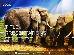 Elephant Species PowerPoint templates