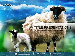 Sheep Farm PowerPoint templates