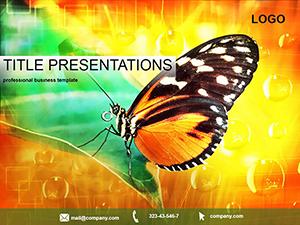 Rare butterfly PowerPoint Template