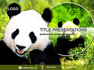 Giant Panda PowerPoint Template