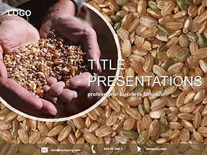 Grain Harvest PowerPoint templates
