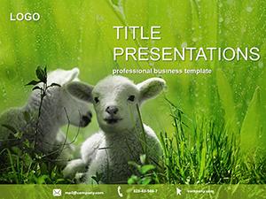 Lamb on Pasture PowerPoint Templates