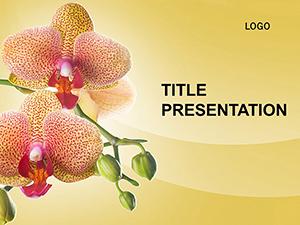 Gift Flowers PowerPoint Templates