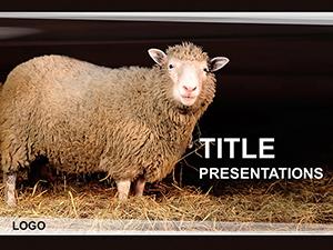 Sheep in Corral PowerPoint Templates