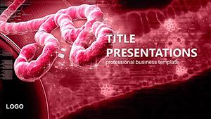 Ebola Virus PowerPoint templates
