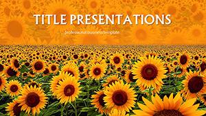 Field of Sunflowers PowerPoint templates
