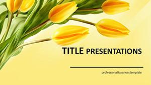 Woman day PowerPoint templates