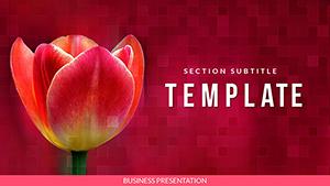 Tulip Bulbs for Sale PowerPoint templates