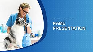 Treatment Of Animals In Veterinary Clinic PowerPoint template