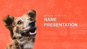 Complete Guide to Caring for Dogs PowerPoint template