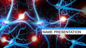 Nervous System Anatomy and Physiology PowerPoint template