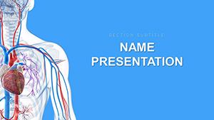 Cardiovascular System PowerPoint template