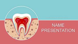 Tooth Structure PowerPoint Template | Presentation Backgrounds