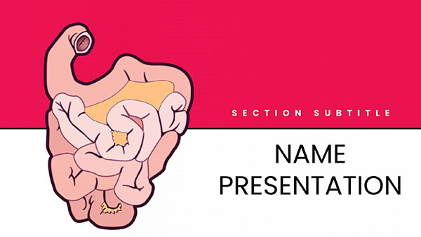 Small Intestine PowerPoint template for presentation
