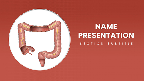 Large Intestine PowerPoint template for presentation