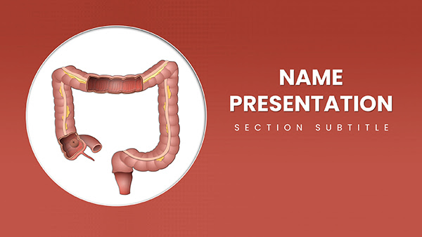 Large Intestine PowerPoint template for presentation