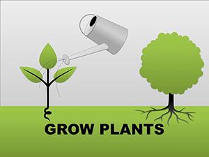 Premium Grow Plants PowerPoint Shapes | Download Now