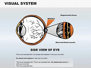 Visual System Medicine PowerPoint Shapes | Professional Templates for Google Slides
