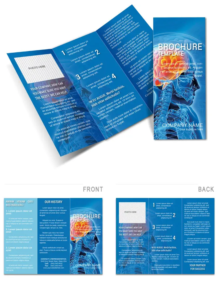 Human brain Brochures templates
