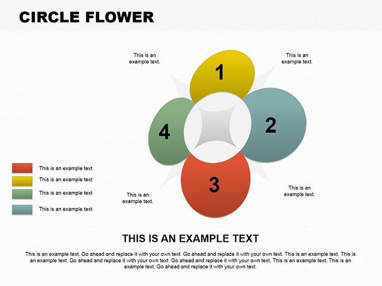 Circle Flower Keynote charts