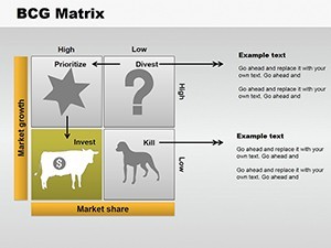 bcg matrix word template