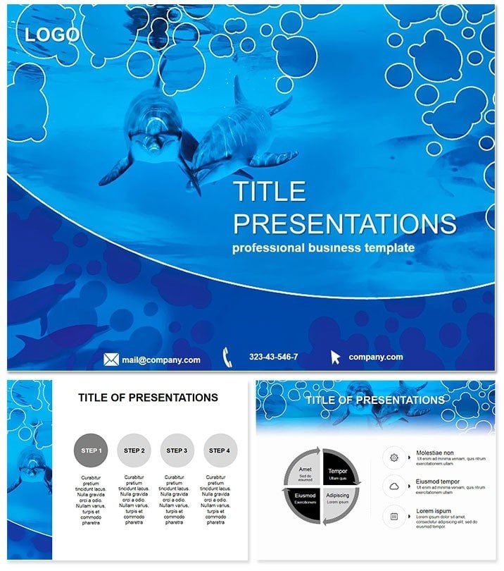Friendly Dolphins Keynote template Presentation