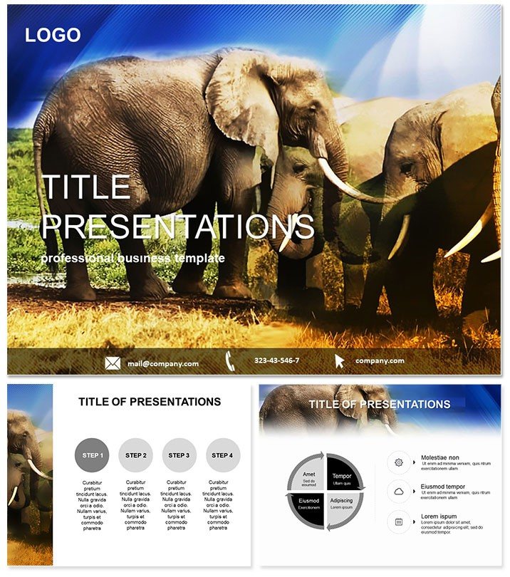 Elephant Species Keynote templates