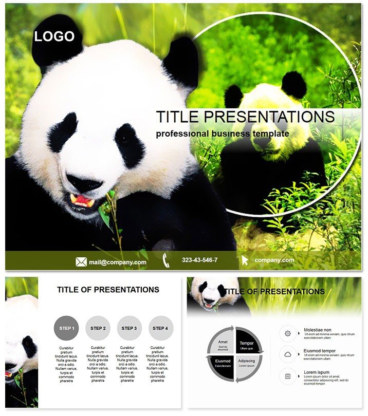 Giant Panda Keynote Template