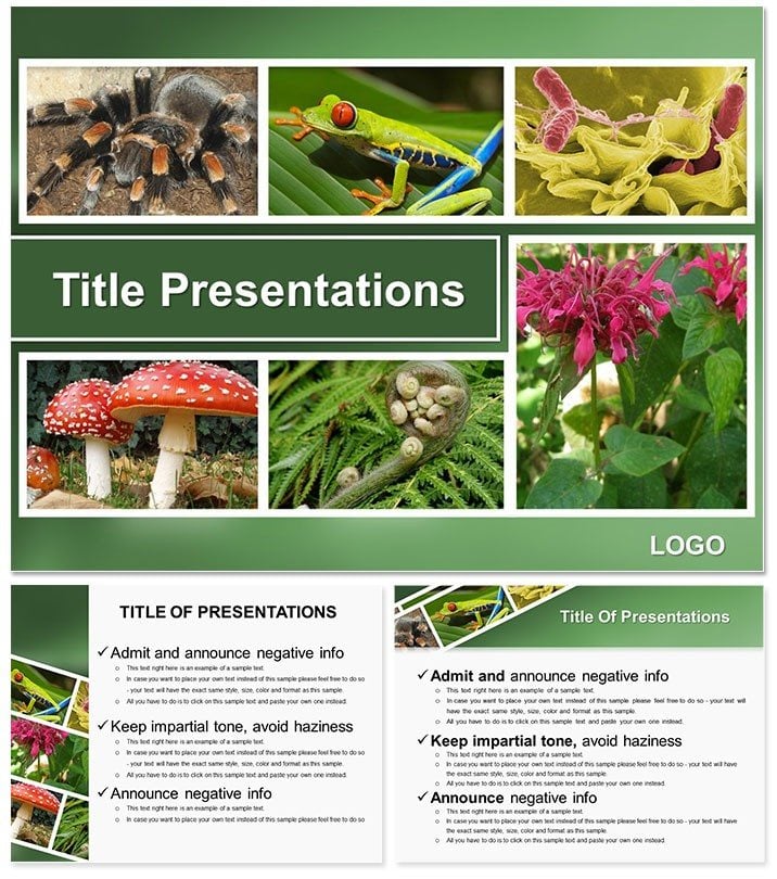 Botany Keynote template and Themes