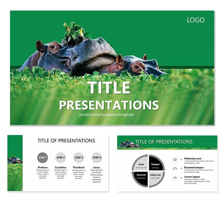 Hippo Keynote template Presentation