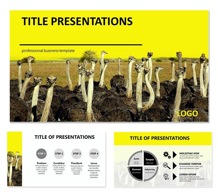 Ostrich farm Keynote templates