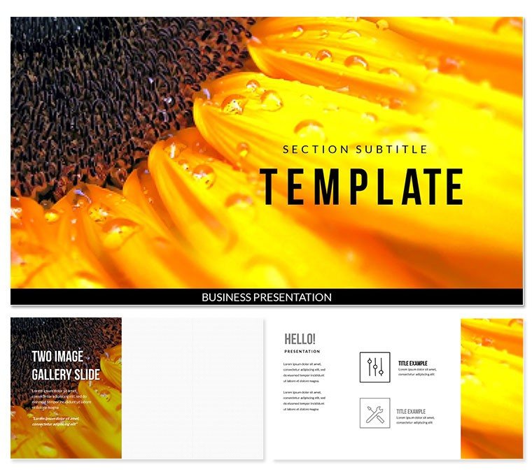 Sunflower Keynote template Presentation