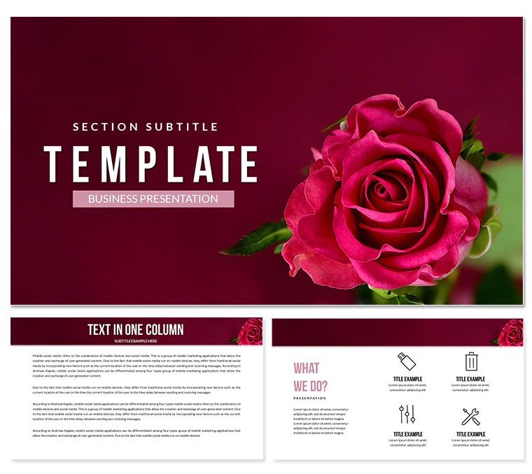 Flowers Rose Keynote Template - Beautifully Presentation