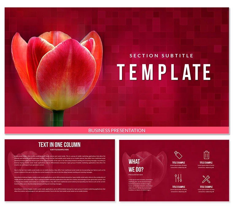 Tulip Bulbs for Sale Keynote templates