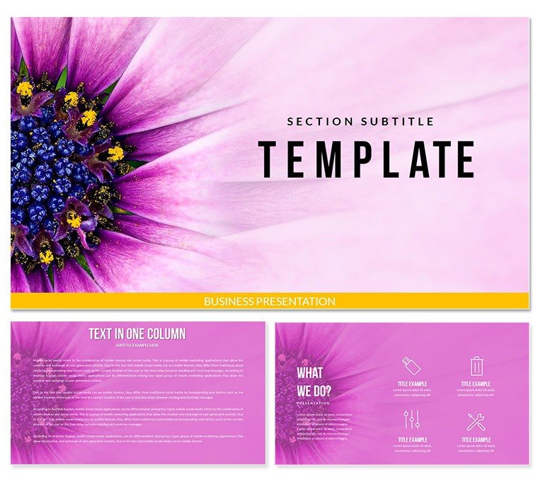Flower Close Up Keynote Templates - Themes